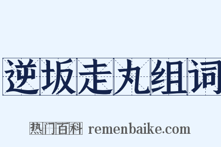 逆坂走丸组词是什么意思的图片